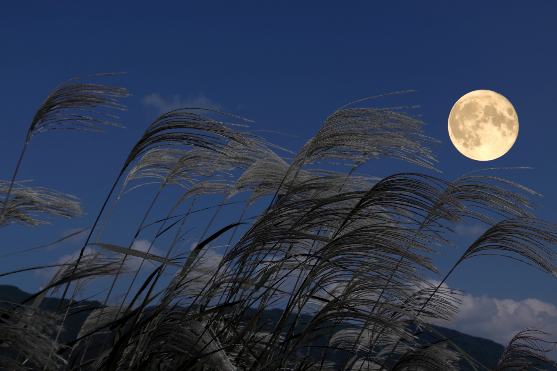 退店のお知らせとお礼（9月の店休日）